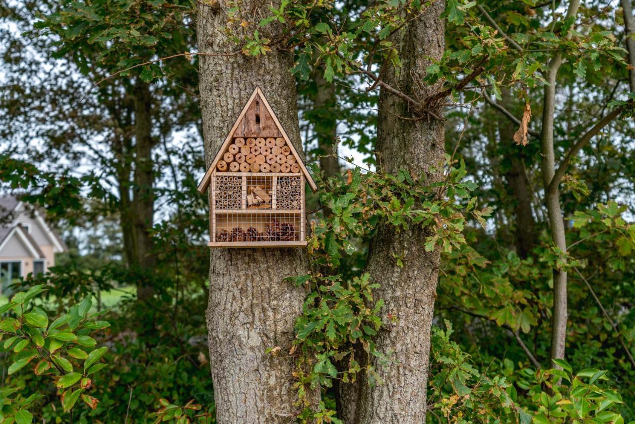 Vakantiewoning De Bleekersvallei デ・コーフ エクステリア 写真